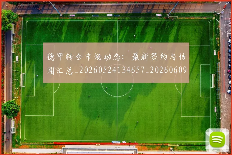 德甲转会市场动态:最新签约与传闻汇总_20260524134657_20260609192239
